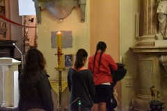 DSC_01541628402769-1